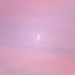 A Waxing Crescent Moon floating in a pink colored sky